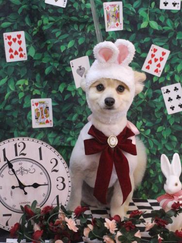 20250409ぽんずくん